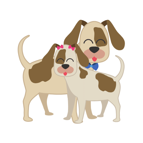 Chien de Berger Belge, Chien de Berger Belge