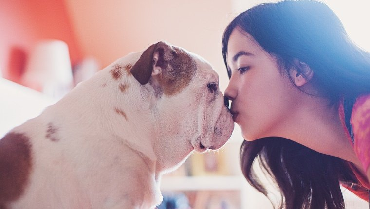 , 10 façons dont votre vie change quand vous adoptez un chien