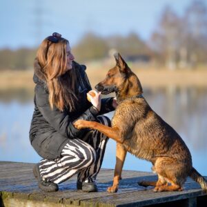 portrait animaux personnalisé