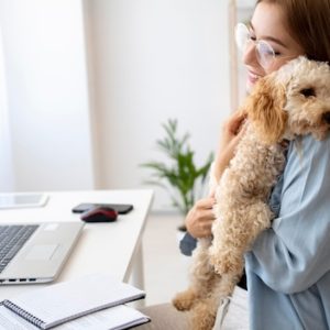 Assurance animale : comment trouver le plan qui convient à votre chien ou chat ?